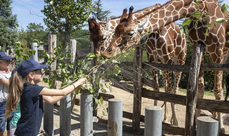 A Day at the Zoo: Family Fun and Wildlife Education